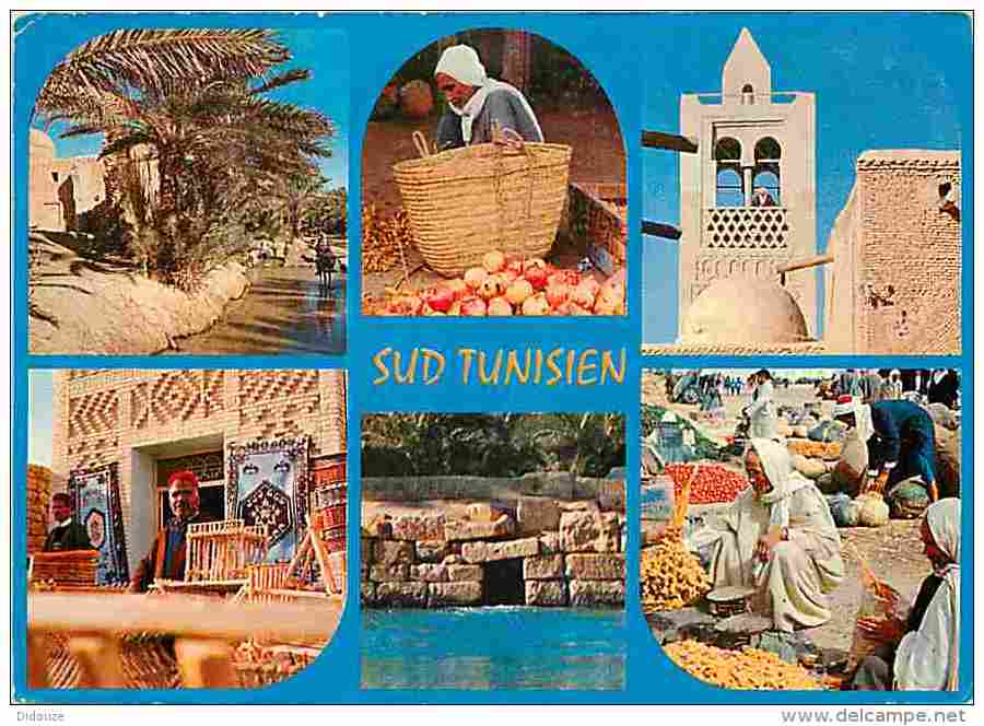 CULTURE et PATRIMOINE DE TUNISIE EN IMAGES MOHAMED HAMDANEثقافة وتراث